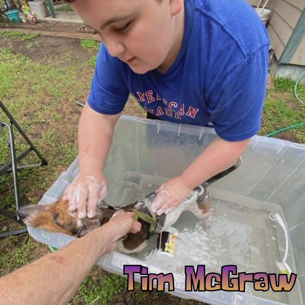 Tim McGraw, a Adoptable Dachshund in San Antonio, TX image 3/3