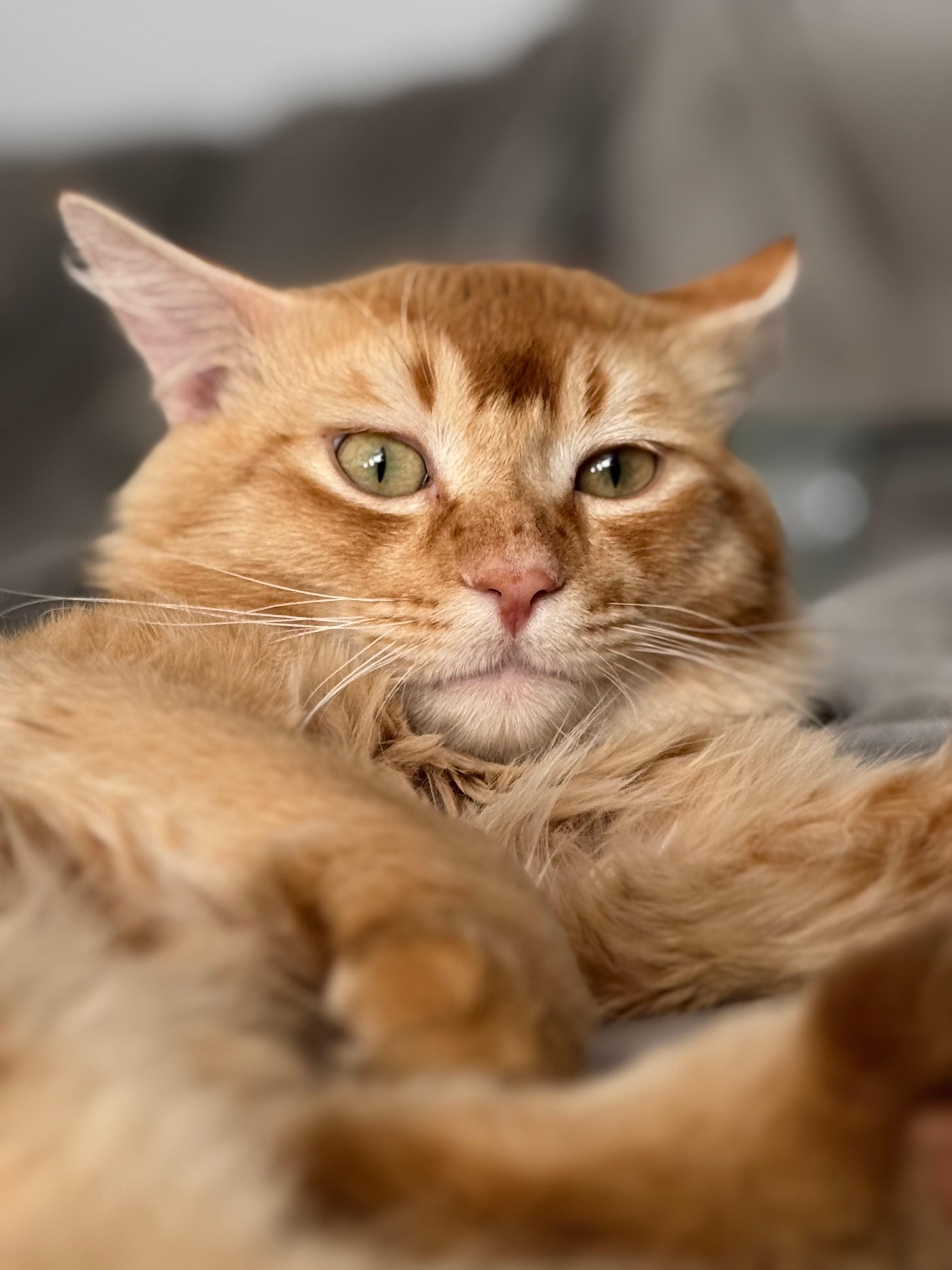 Tigger photo 1