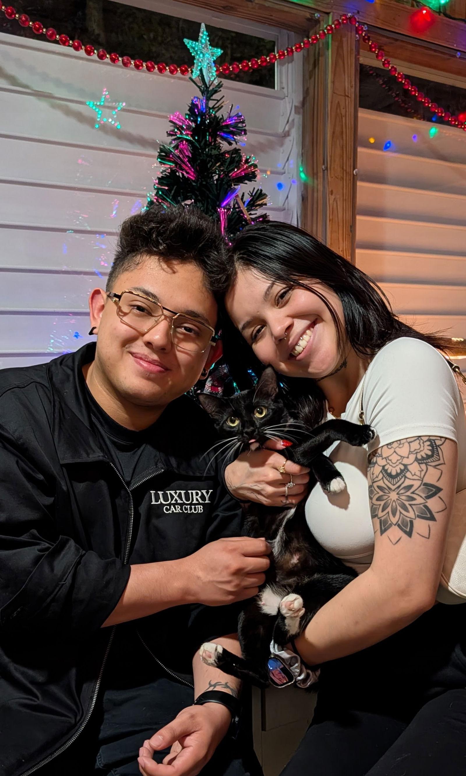 Becka 2025, Adopted, Adult Female Domestic Short Hair.