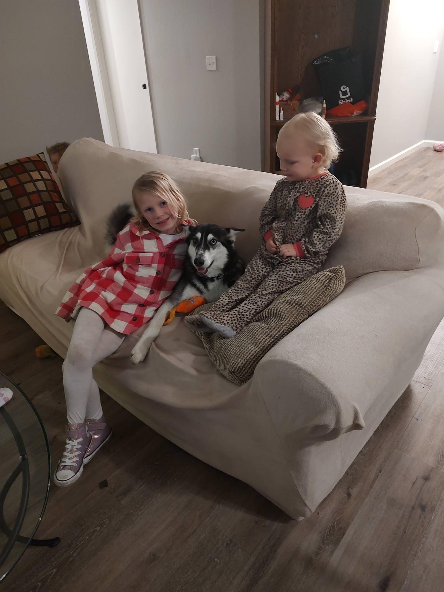 Enlarge Ana, a Adoptable mixed breed in Hollister, CA image 3/5