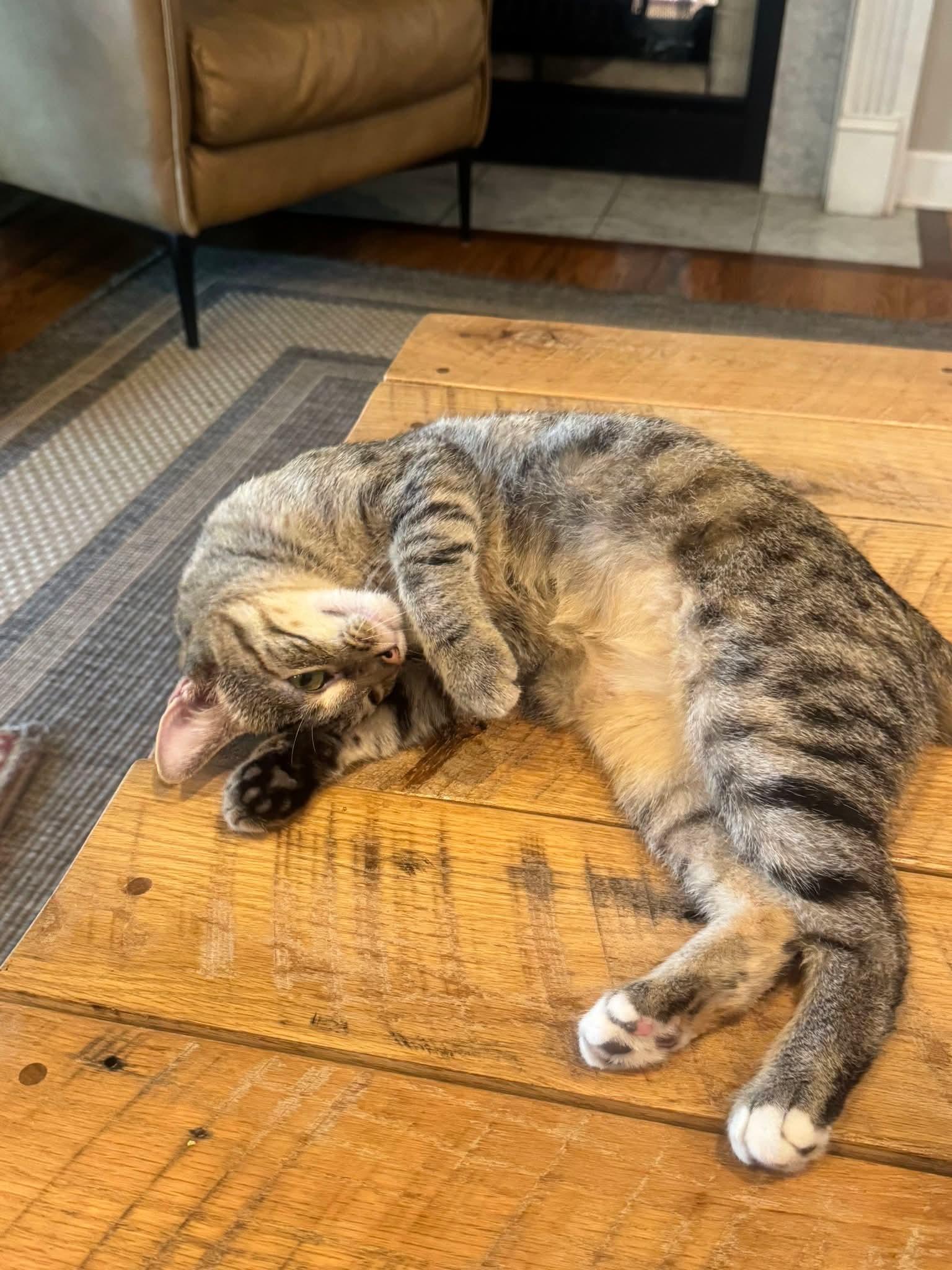 Izzy