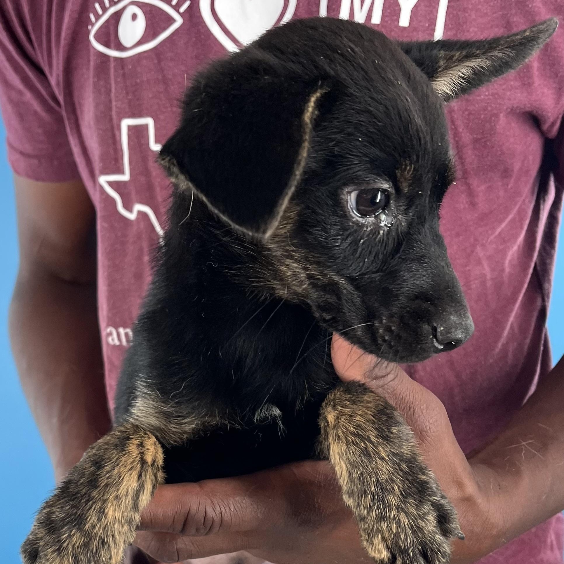 Roscoe - Local Sept 26-28