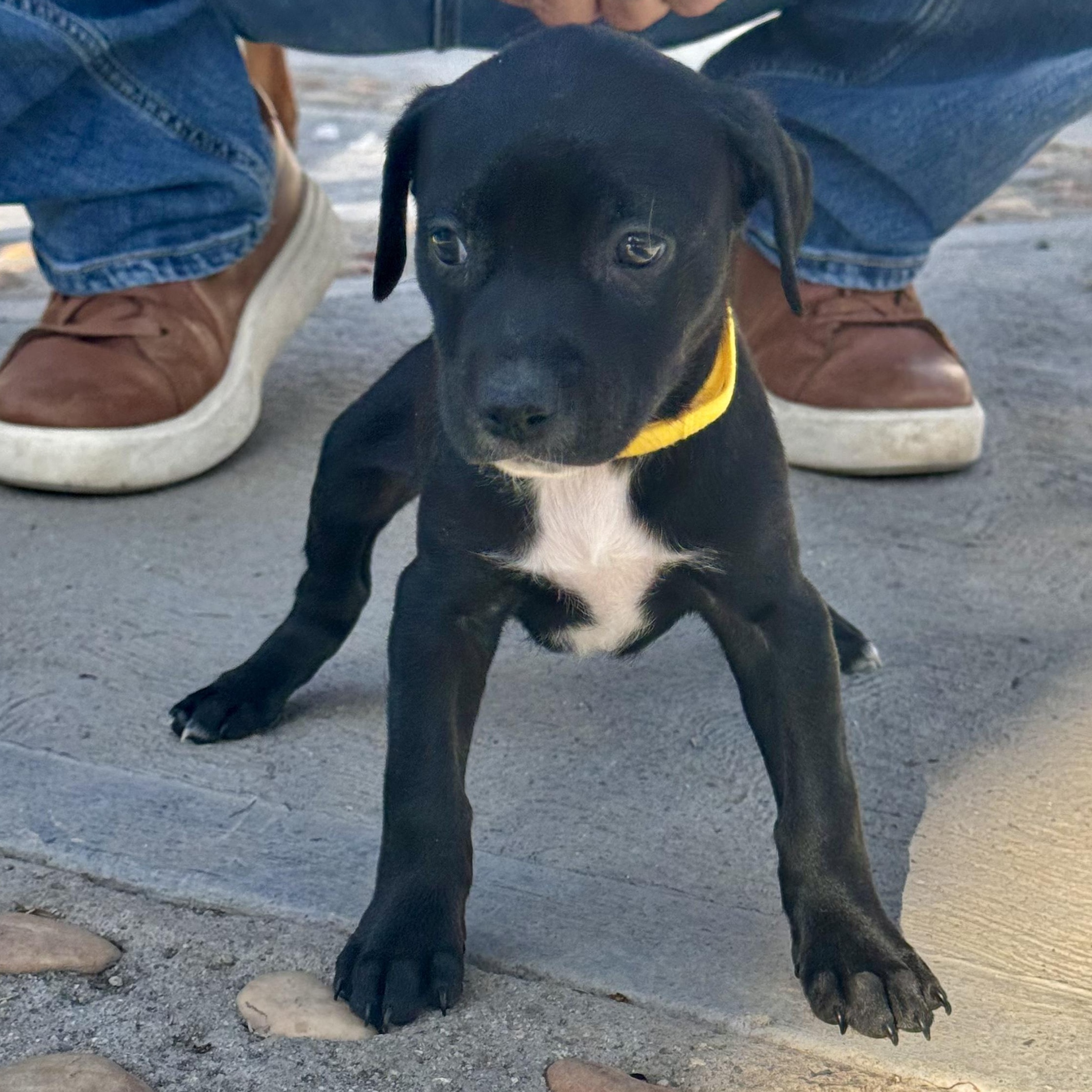 Janice — thumbnail 5