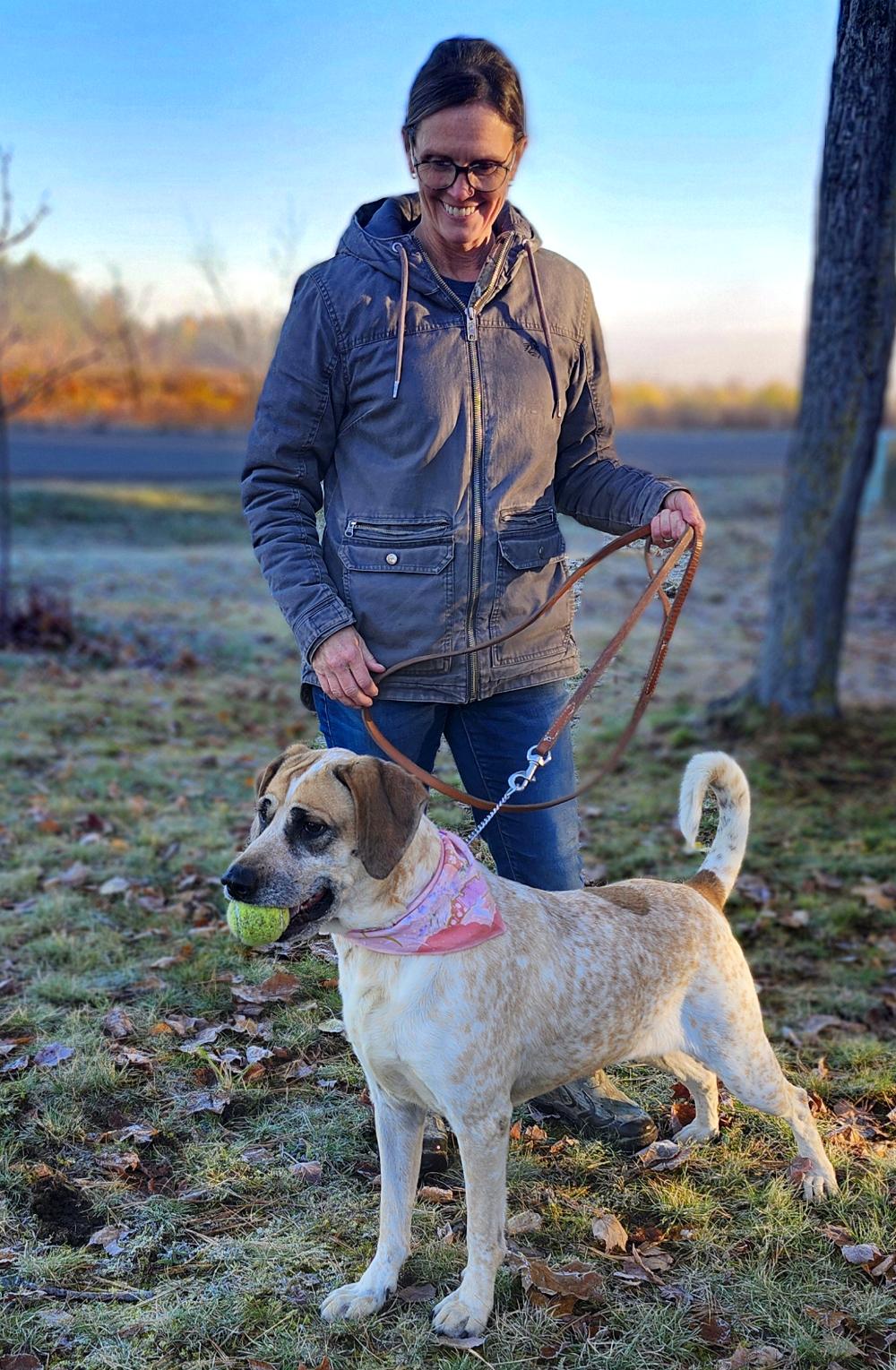 Marley, a Adoptable Hound in Cheboygan, MI image 4/6