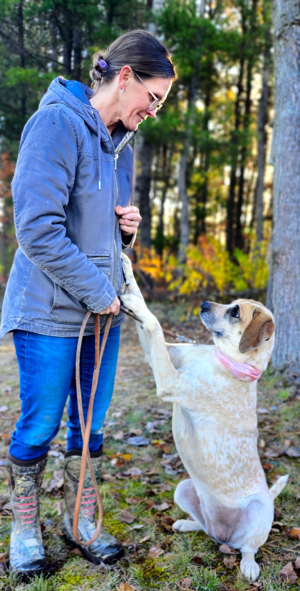 Marley, a Adoptable Hound in Cheboygan, MI image 6/6