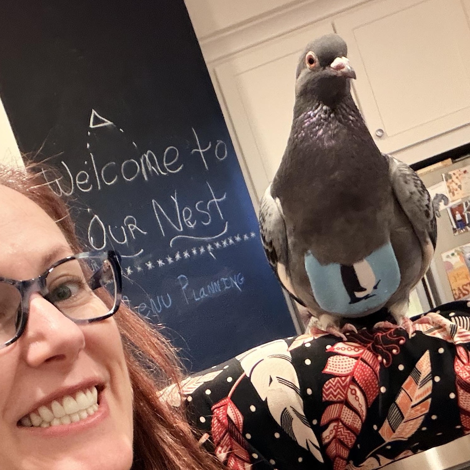 Mildred & Milton (married couple), a ADOPTABLE Pigeon in Chicago, IL image 4/6
