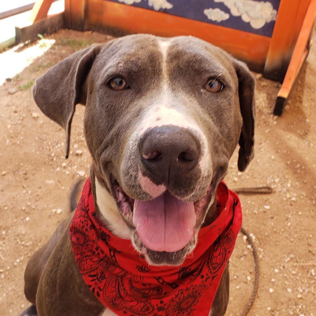 Edna — thumbnail 2