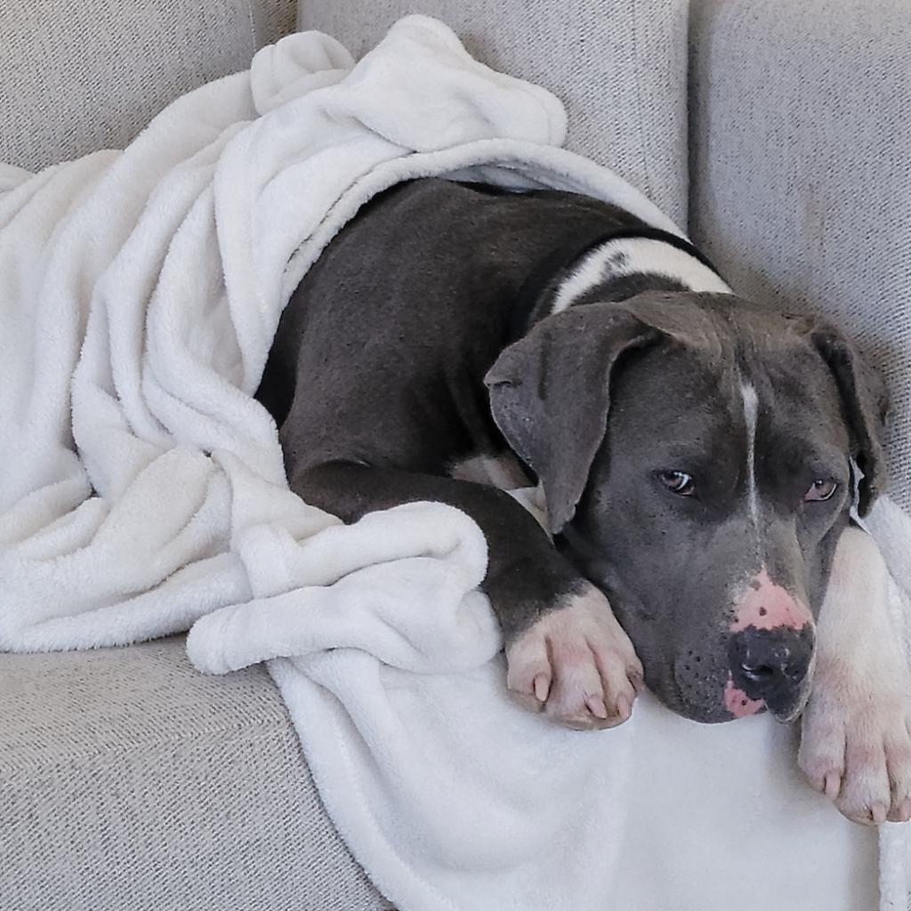 Edna — thumbnail 3