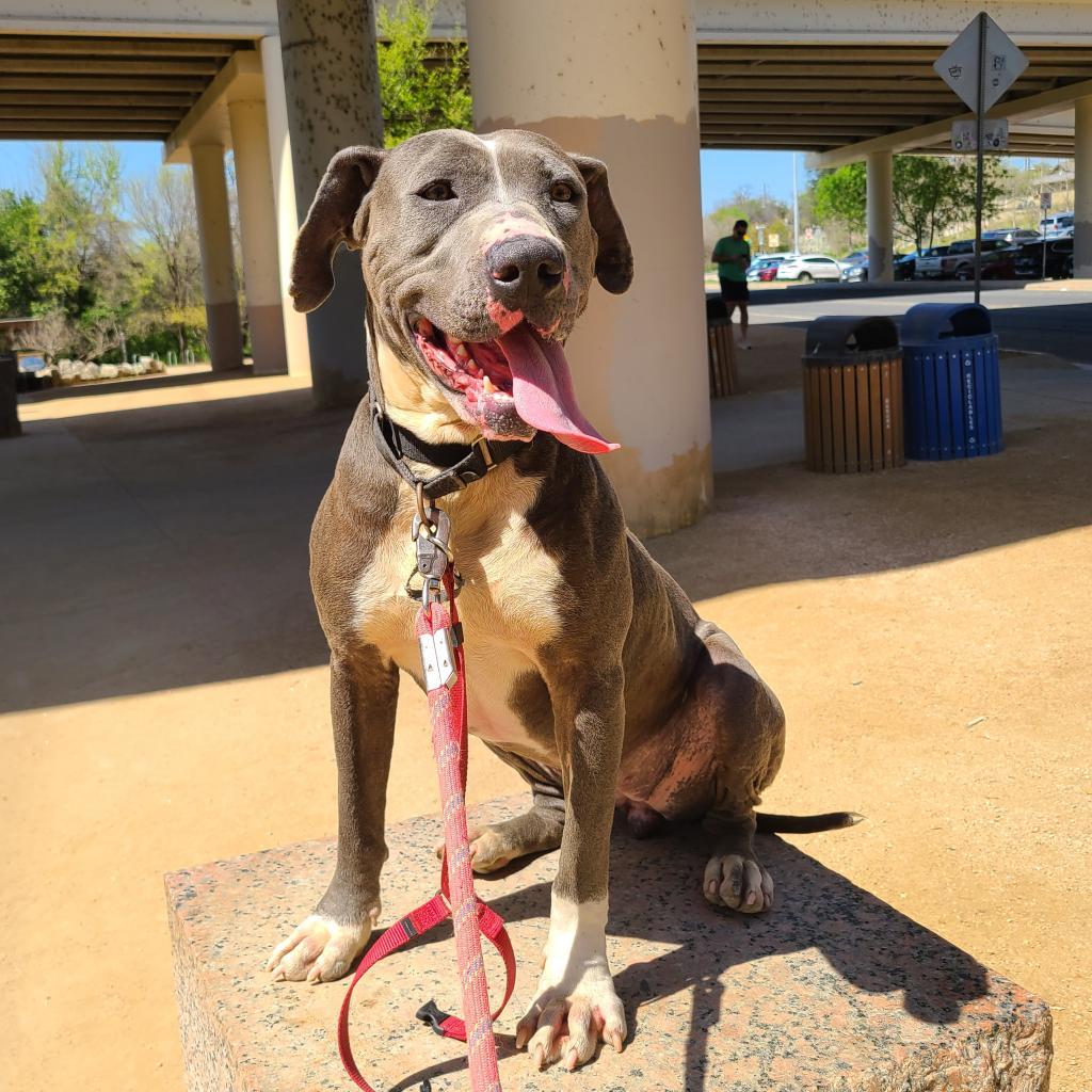 Edna — thumbnail 4