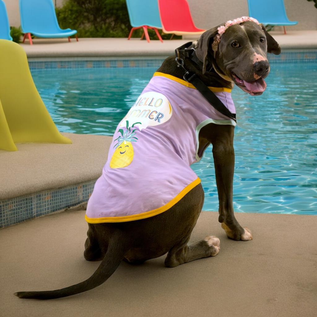 Edna — thumbnail 5