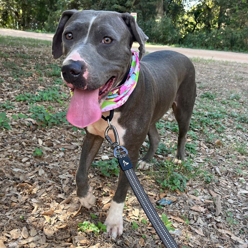 Edna — thumbnail 6