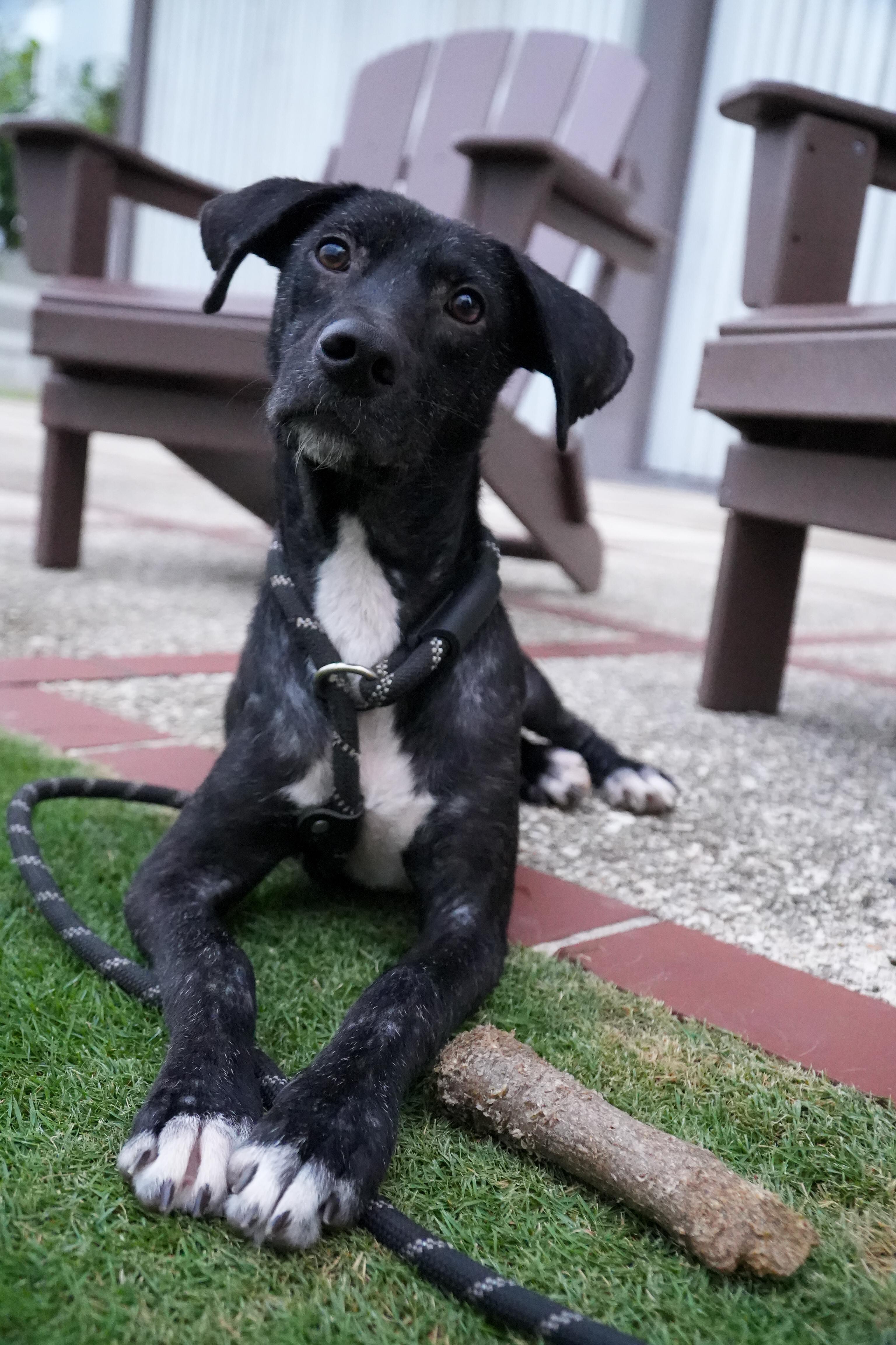 Goodie - The Comeback Kid 5