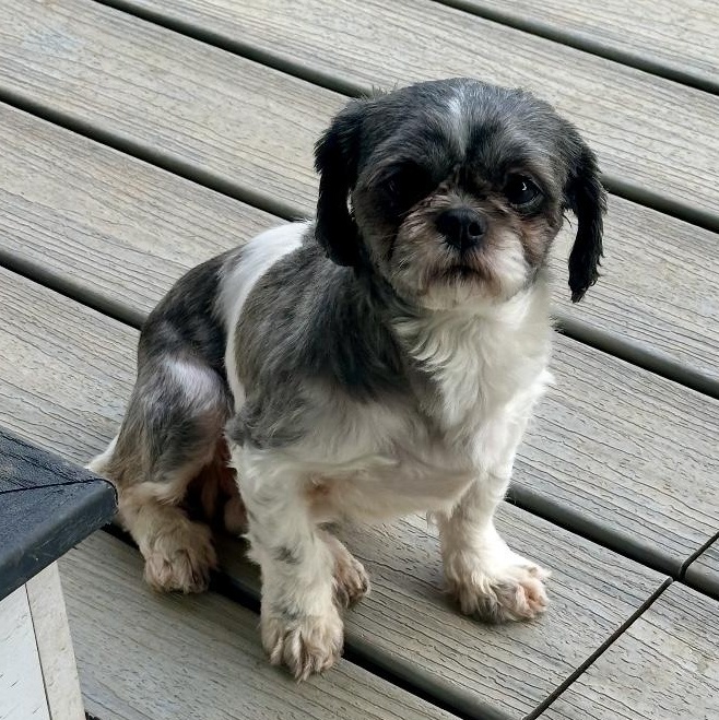 Gemma Rae thumbnail 2