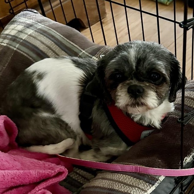 Gemma Rae thumbnail 3