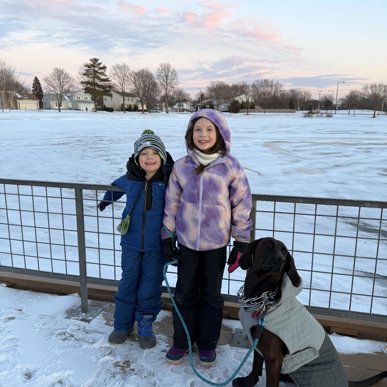 Enlarge Molly, a Adoptable mixed breed in Fishkill, NY image 6/6