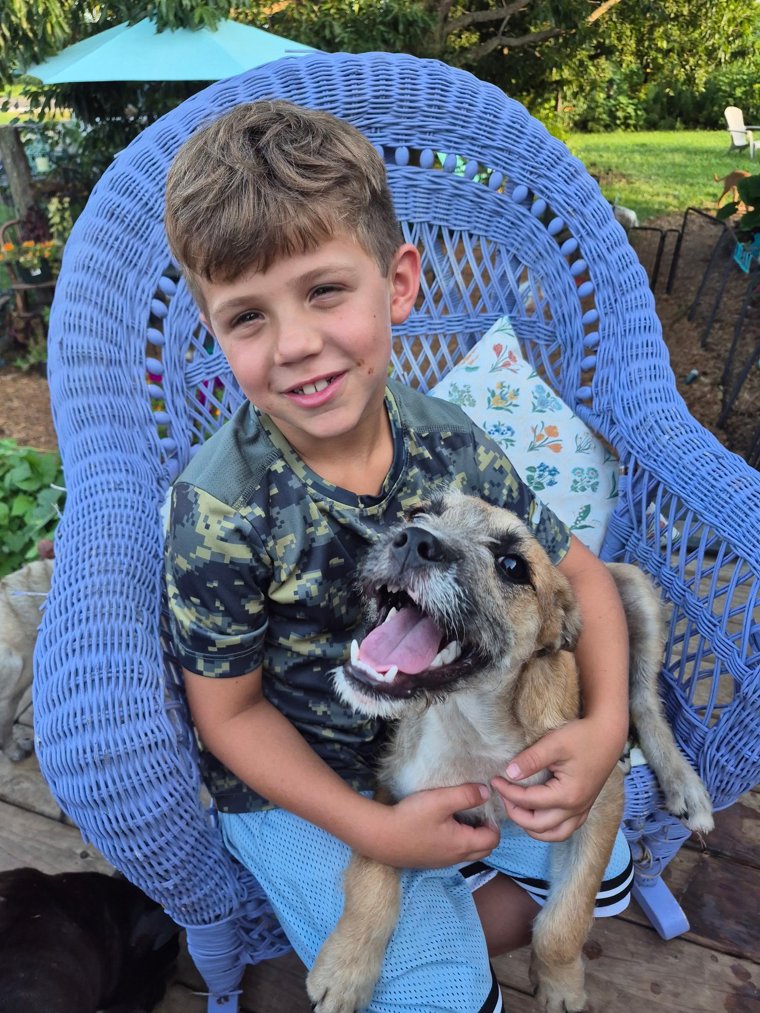 Peter, a ADOPTABLE mixed breed in Byron, IL image 2/5