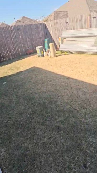 Enlarge Corky, a Adoptable mixed breed in Oklahoma City, OK video 2/6