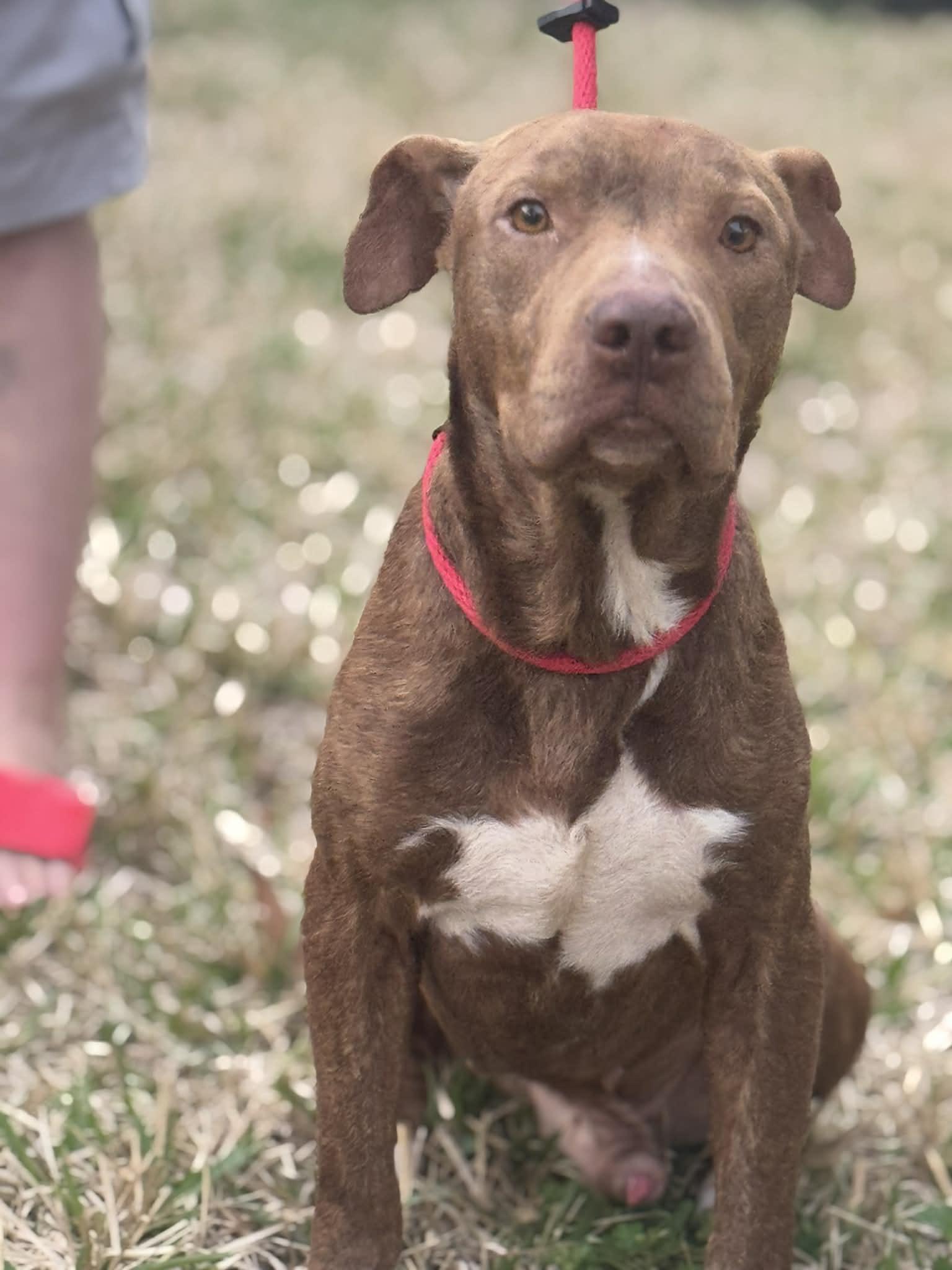 Bruce — thumbnail 6