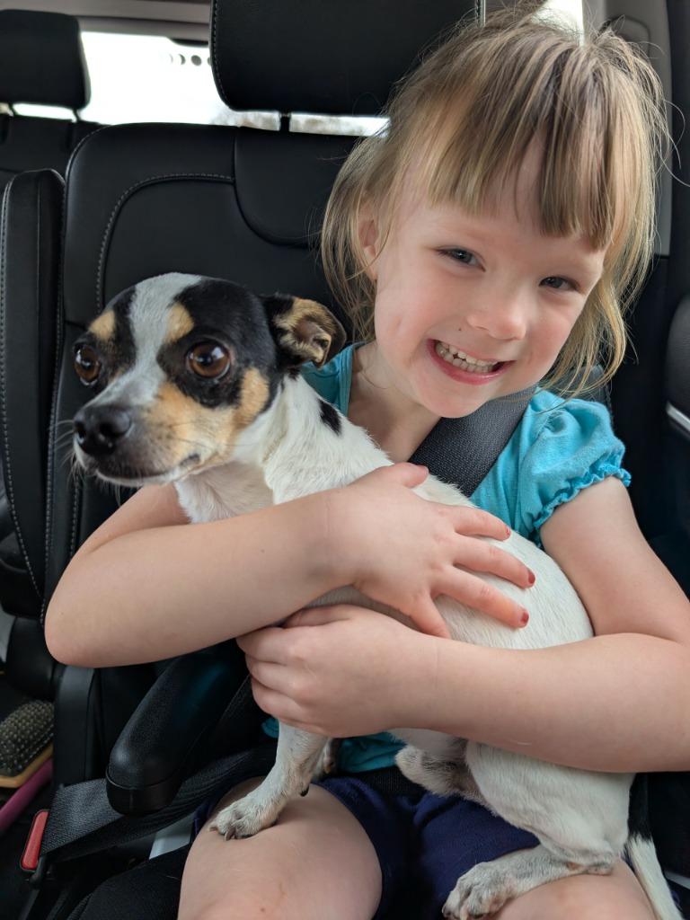 Enlarge Snoopy, a Adoptable mixed breed in Bryan, TX image 2/6