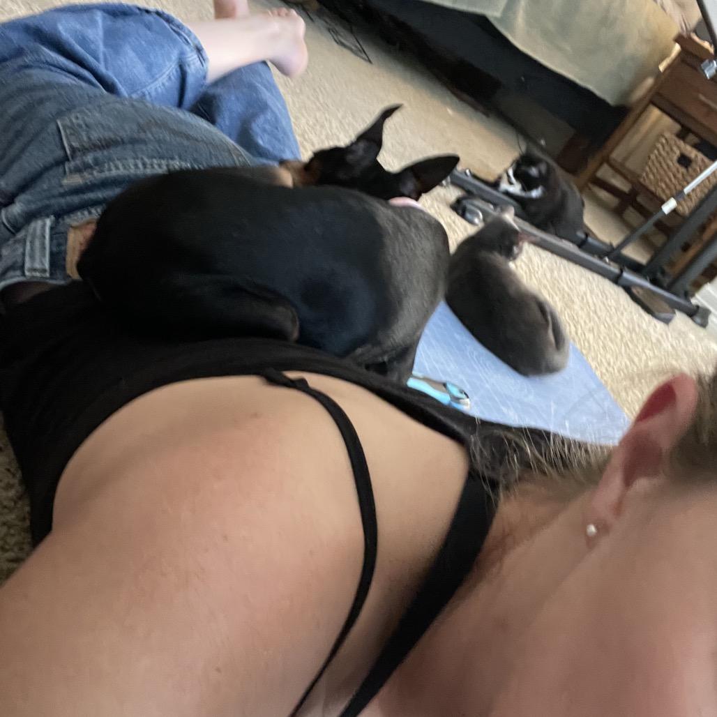 Enlarge Gisele, a Adoptable Miniature Pinscher in Austin, TX image 3/6