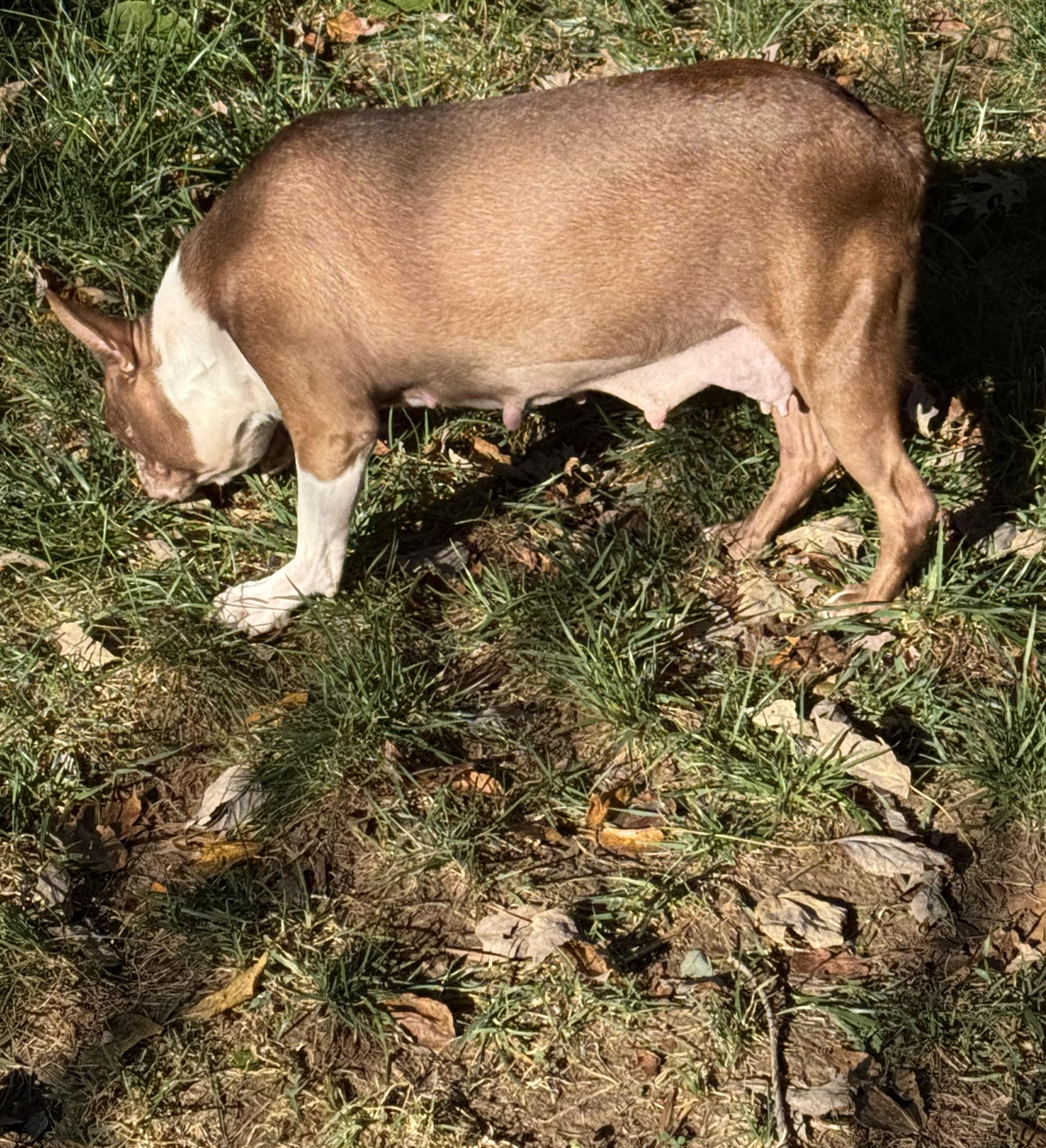 Lexi In Mo thumbnail 6