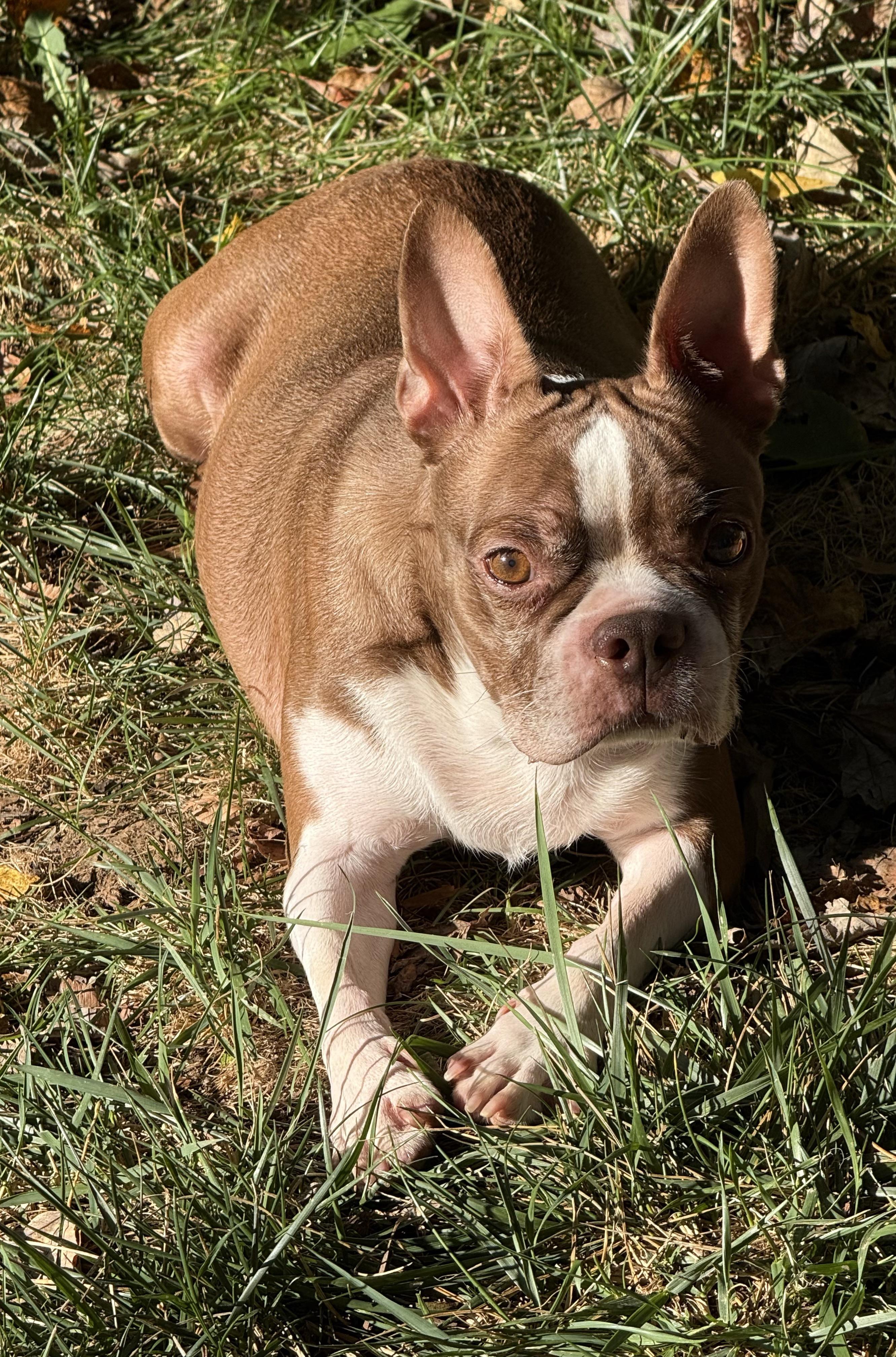 Lexi In Mo thumbnail 2