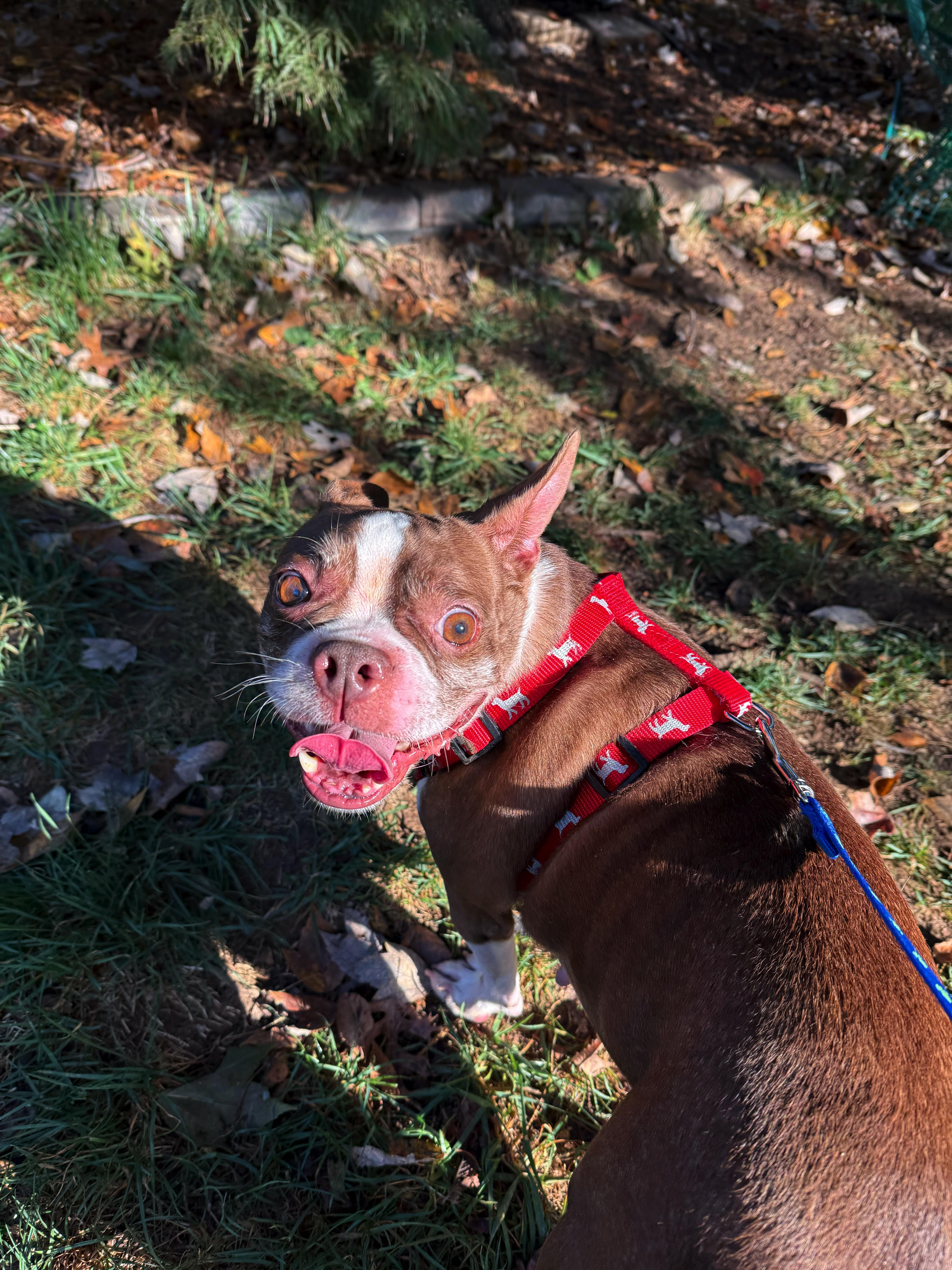 Lexi In Mo thumbnail 3