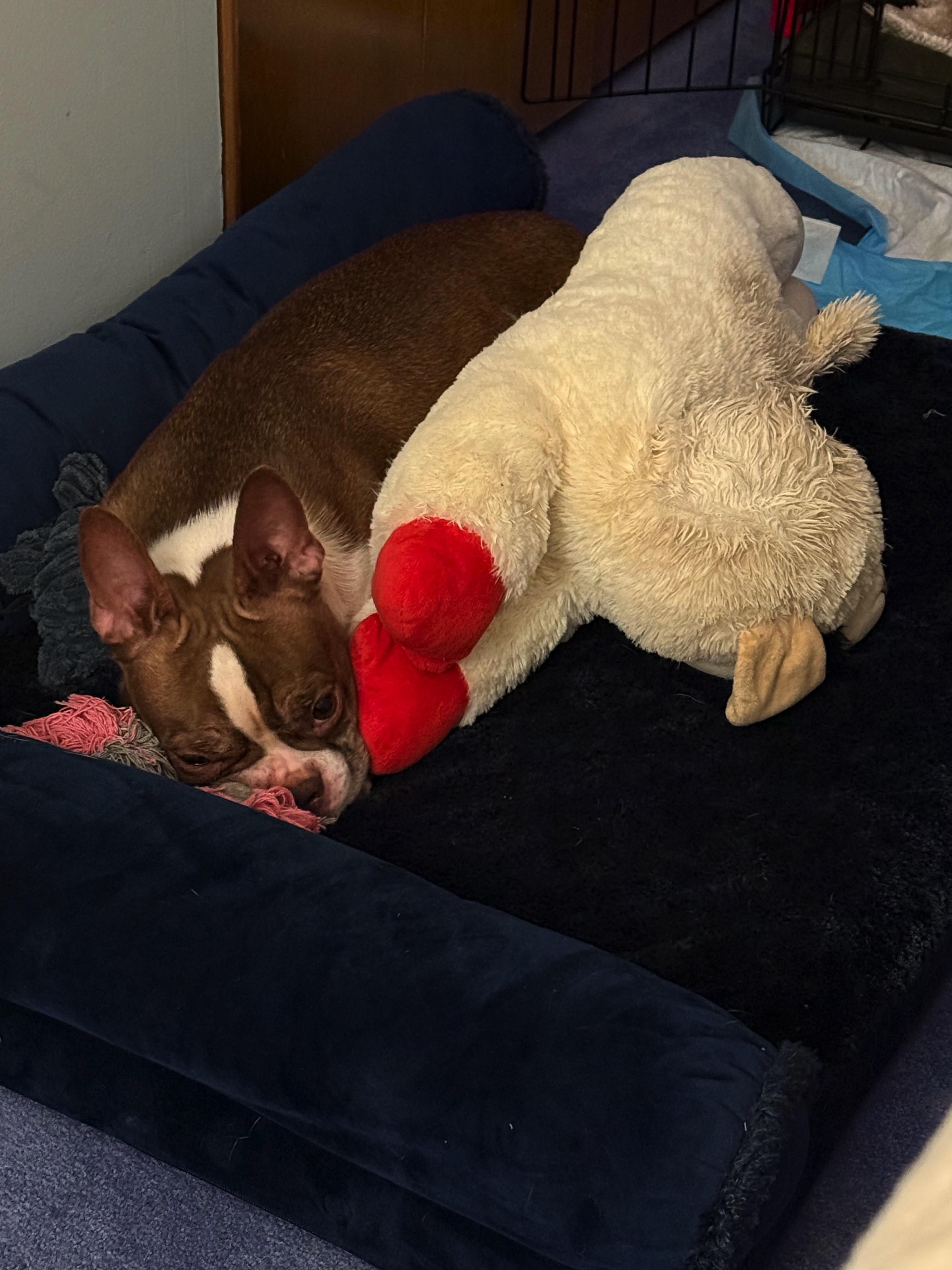 Lexi In Mo thumbnail 4