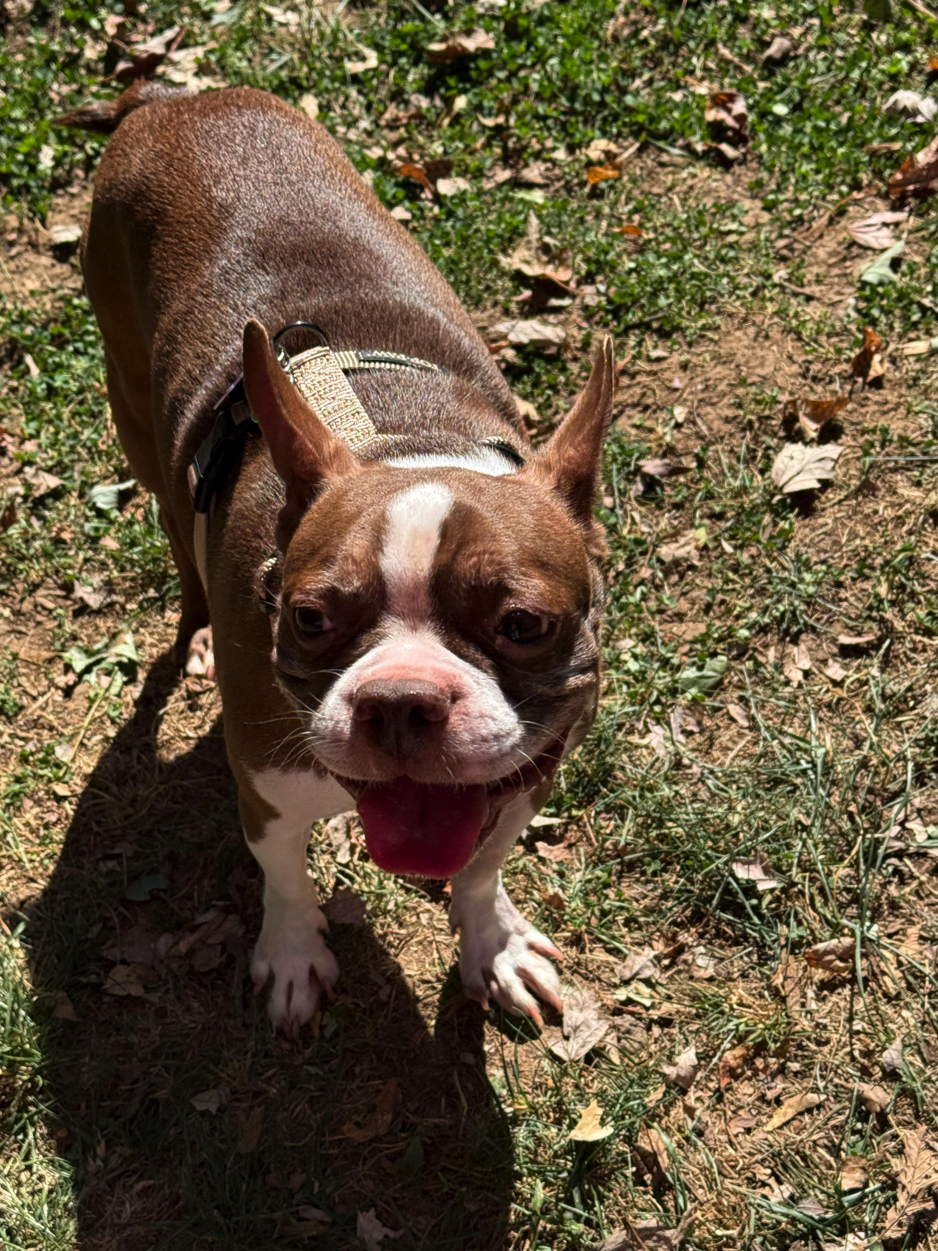 Lexi In Mo thumbnail 5