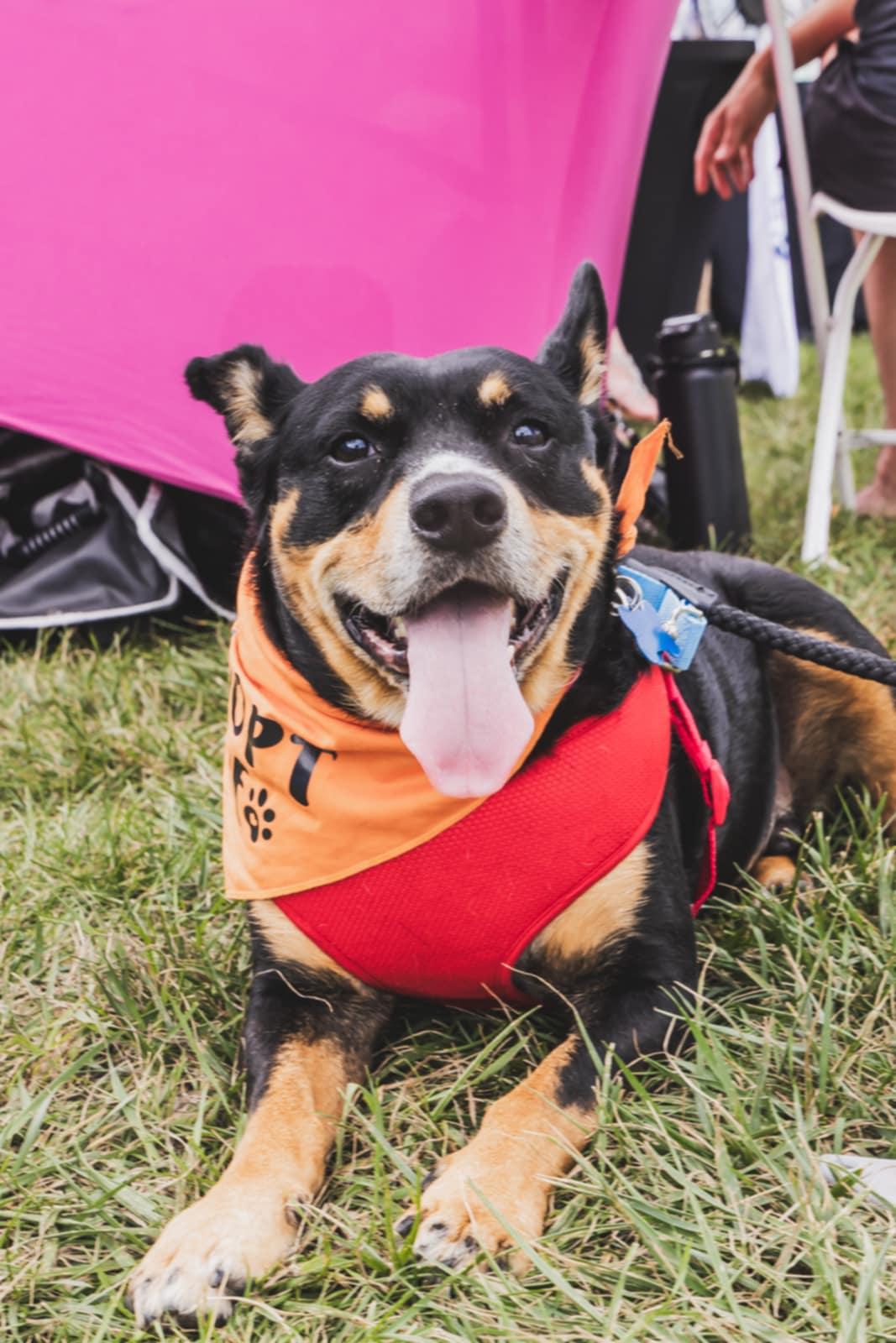 Max
