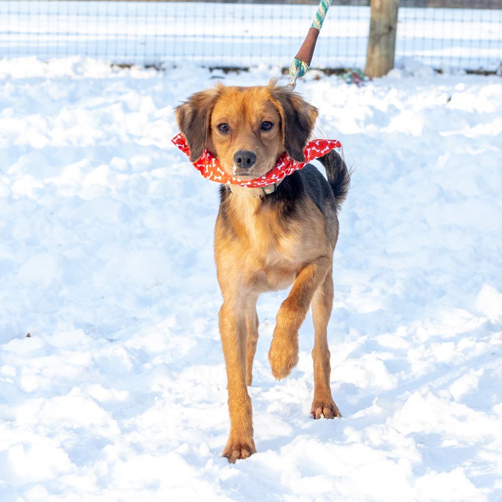 Peteravail thumbnail 2