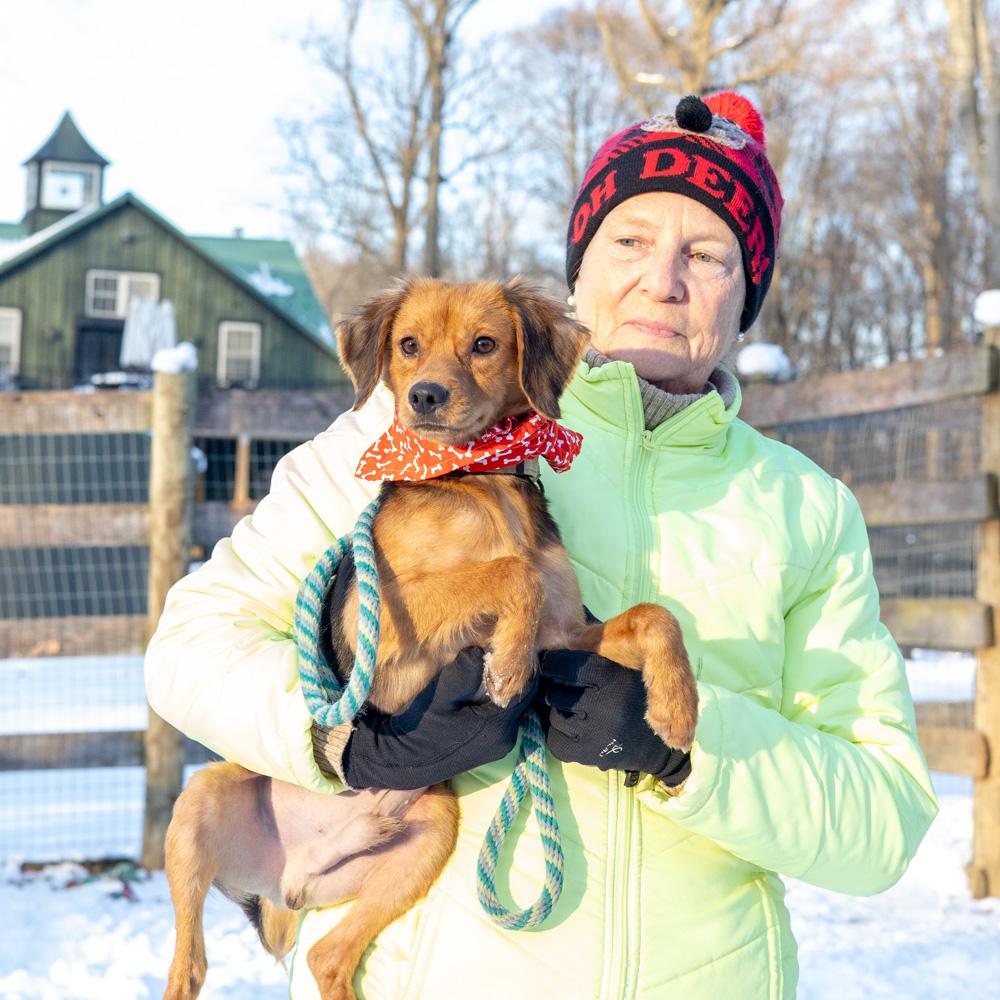 Peteravail thumbnail 3