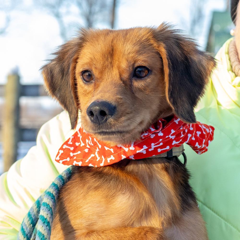 Peteravail thumbnail 4