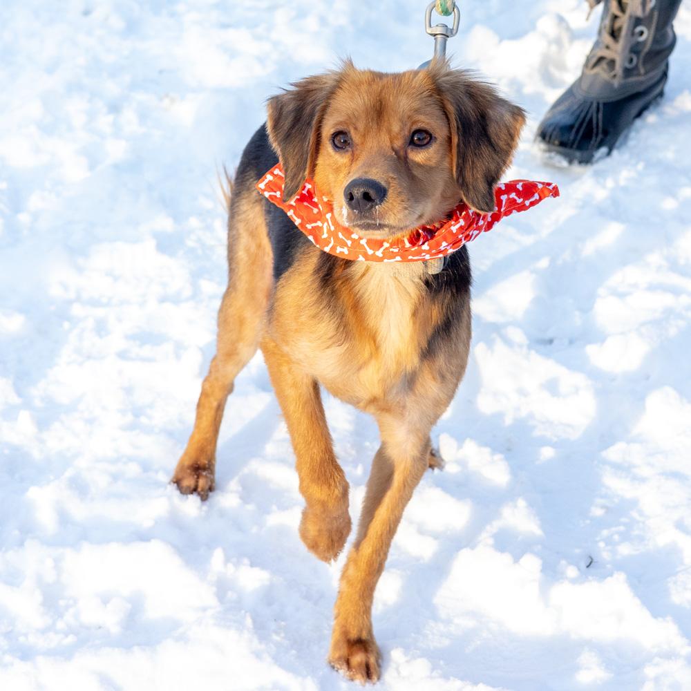 Peteravail thumbnail 5