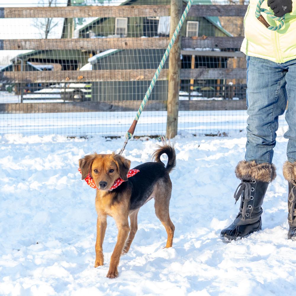 Peteravail thumbnail 6