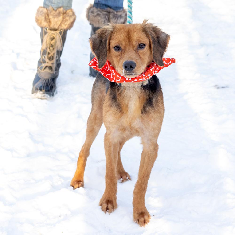 Peteravail thumbnail 7