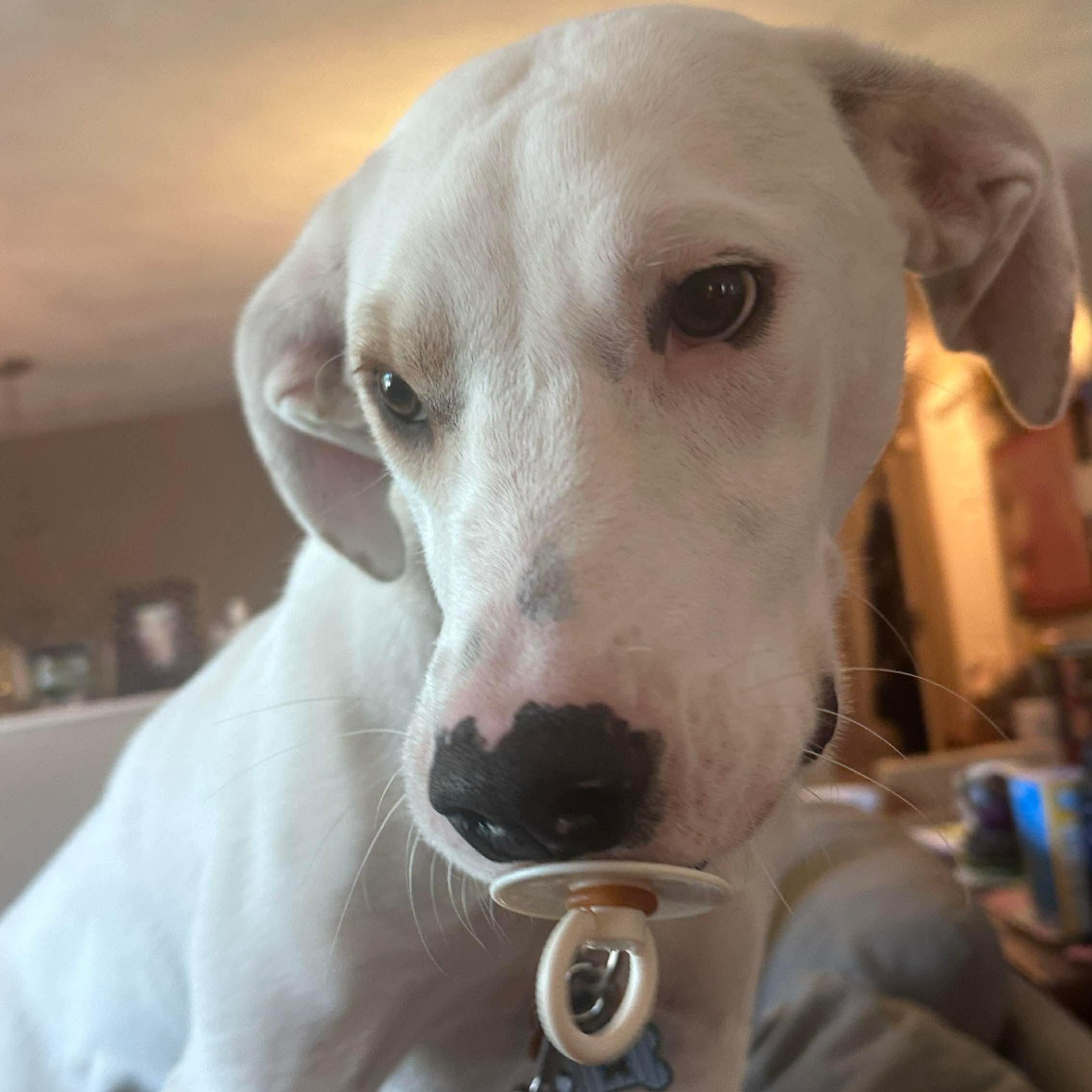 Lumos — thumbnail 3