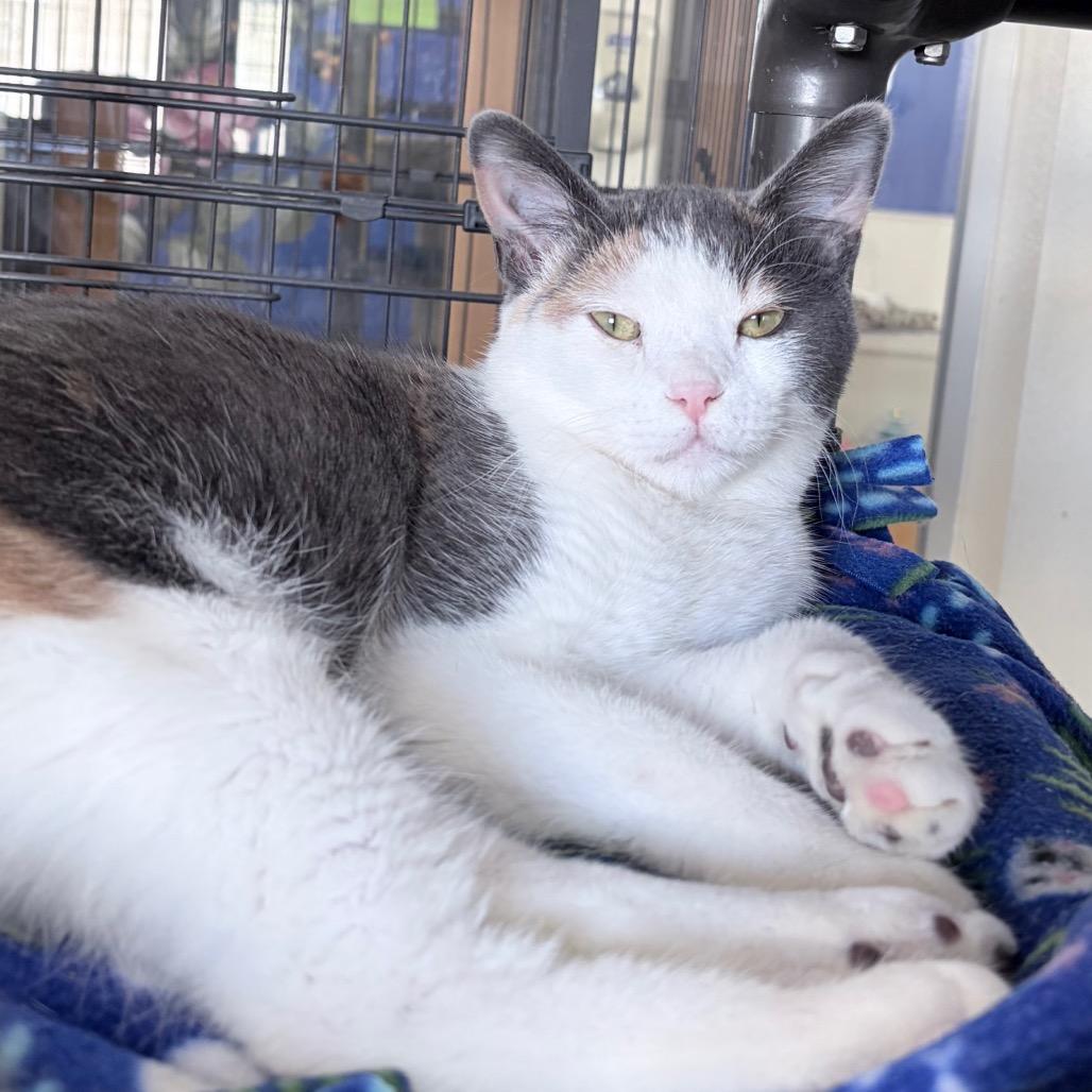 Twizzlers — thumbnail 2