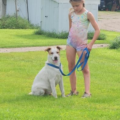 Enlarge Rubble, a Adoptable mixed breed in Watertown, SD image 6/6