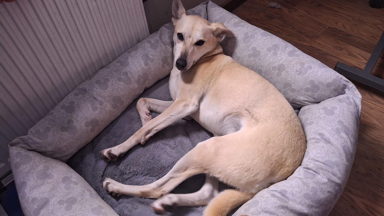 Hattie  $ thumbnail 3