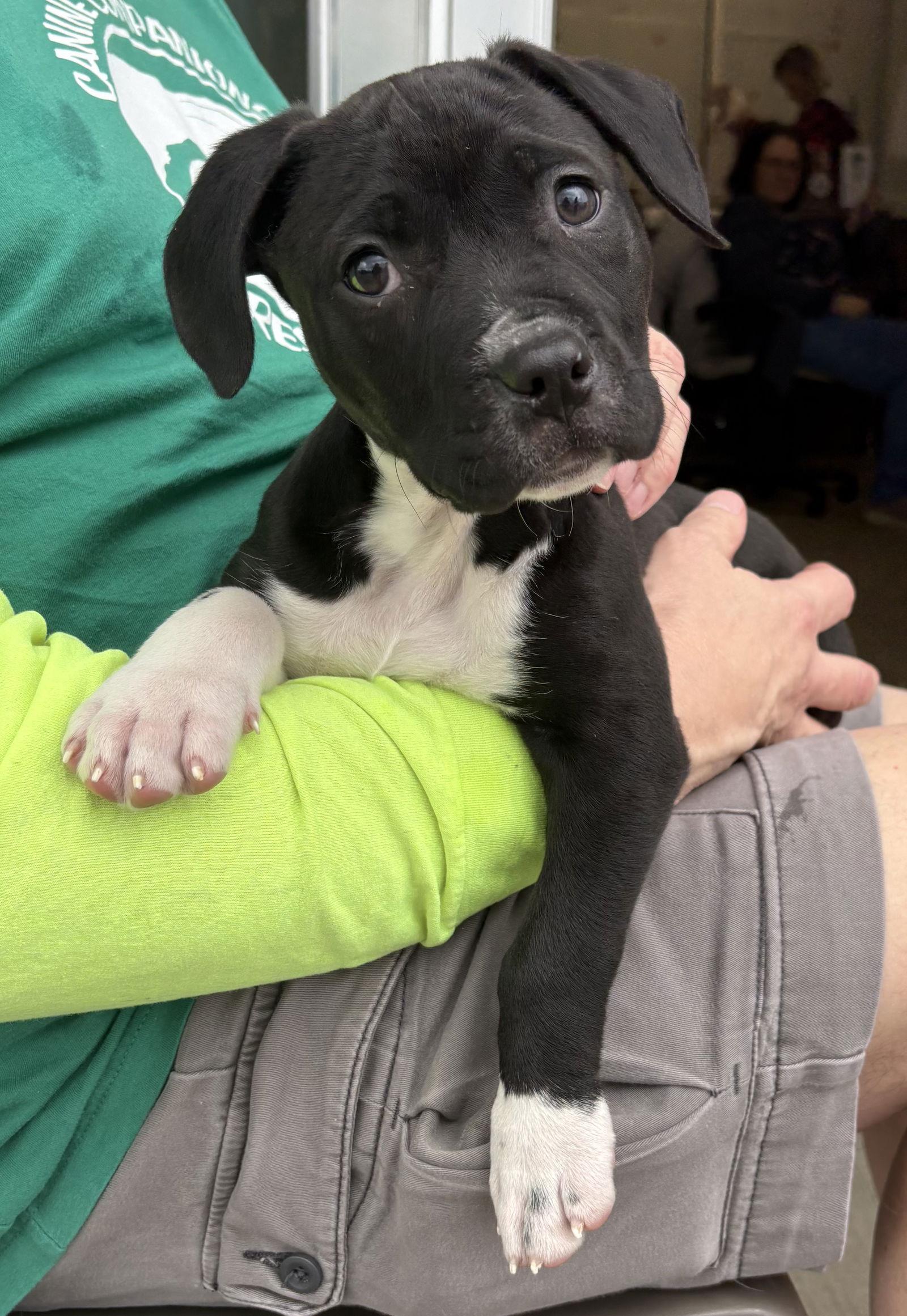 Sprout — thumbnail 2