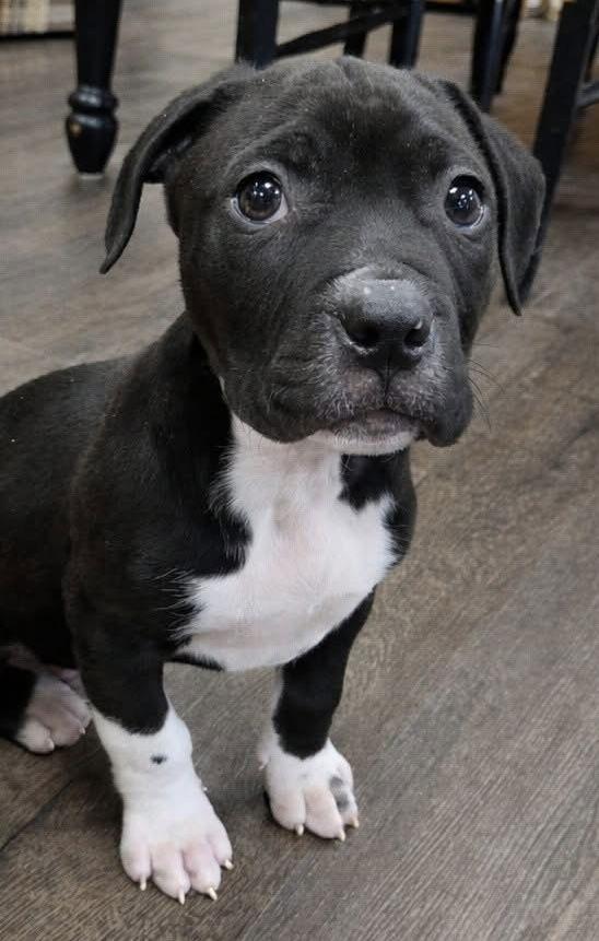 Sprout — thumbnail 3