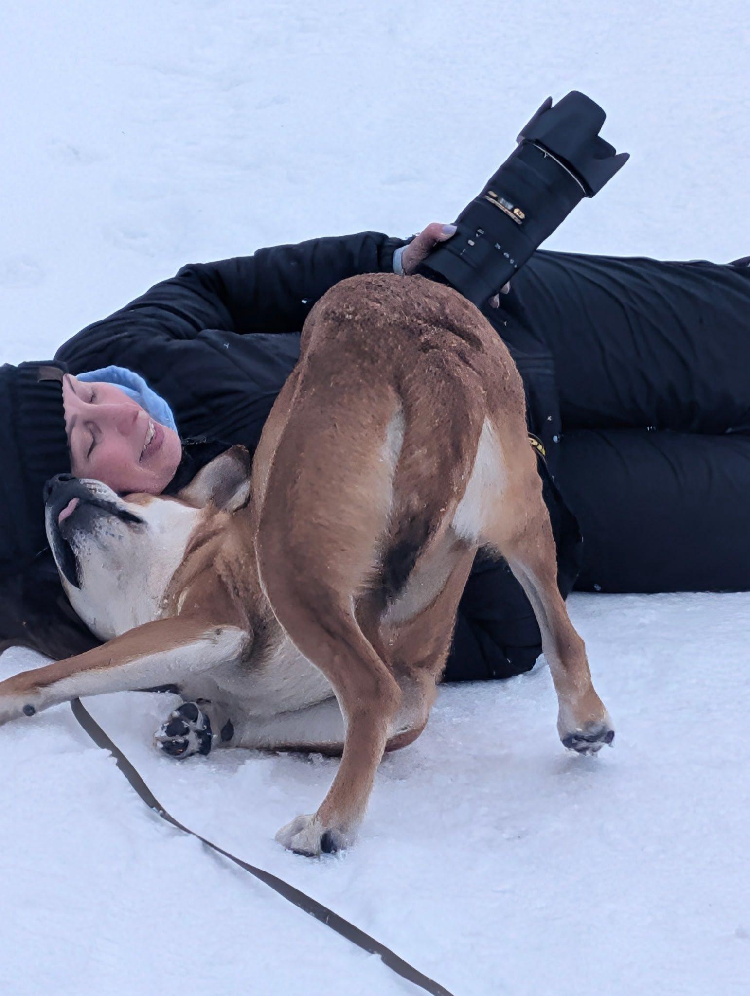 Enlarge Kenji, a Adoptable mixed breed in St. Catharines, ON image 5/6