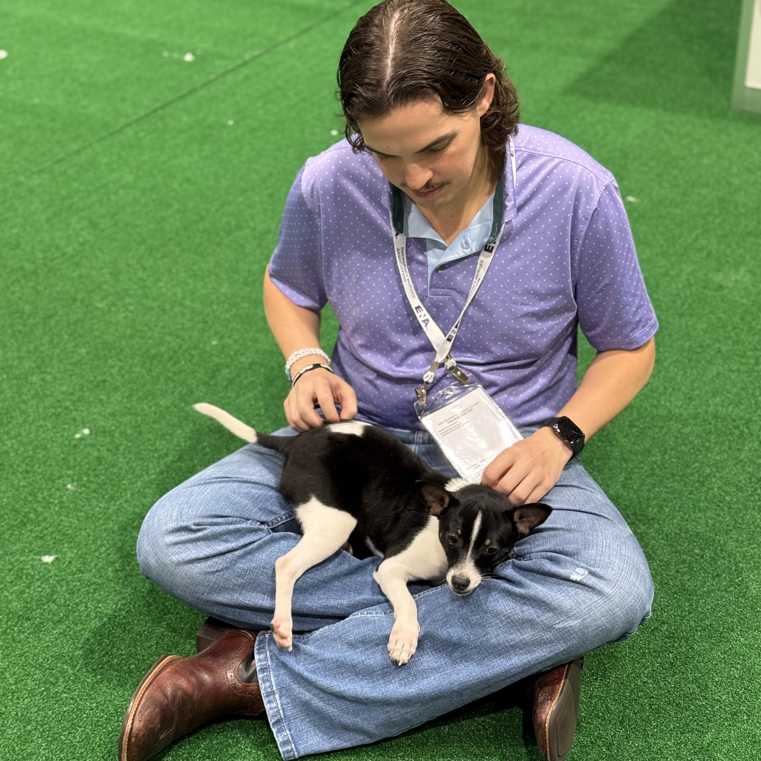 Enlarge Bam Bam, a Adoptable Rat Terrier in New Orleans, LA image 6/6