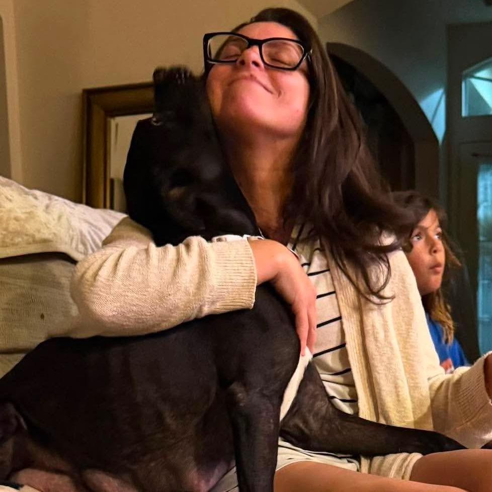 Mama Chocolate HW+, a Adoptable Black Labrador Retriever in Tampa, FL image 3/6
