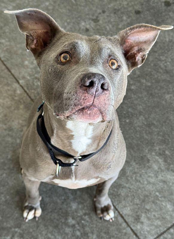 Melanie — thumbnail 6