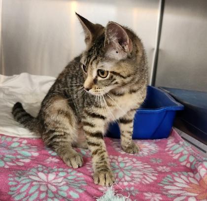 Winny — thumbnail 2