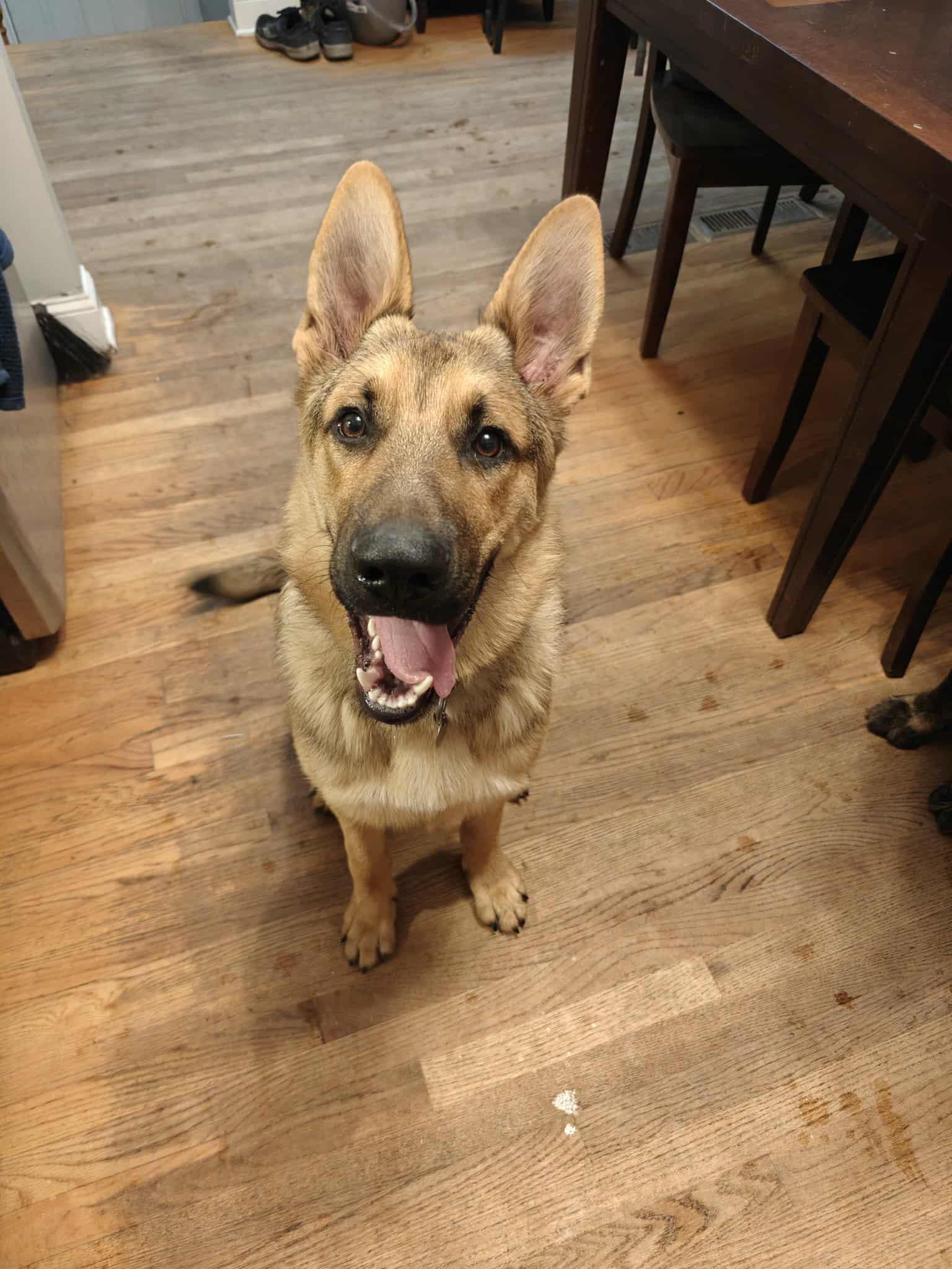 Klaus