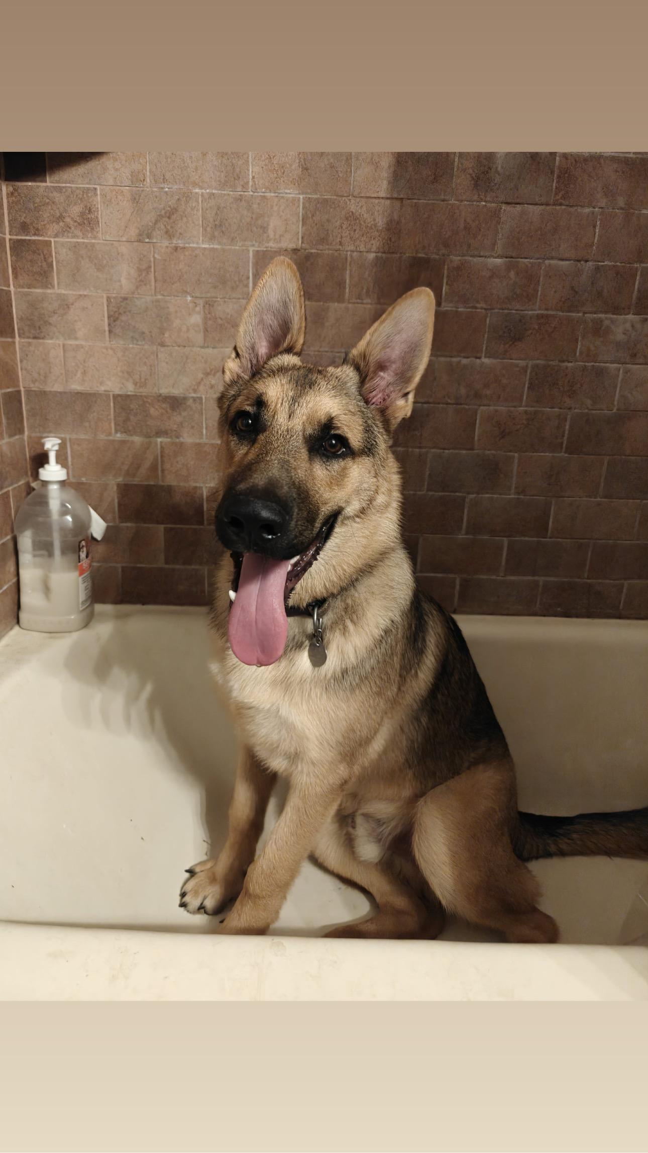 Klaus