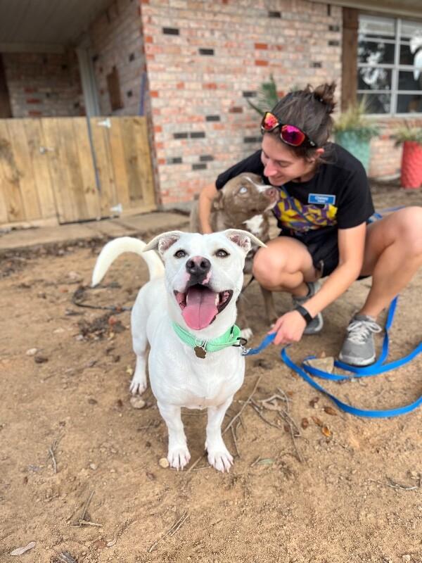 Momo Sugar the Happiest Petite Fella